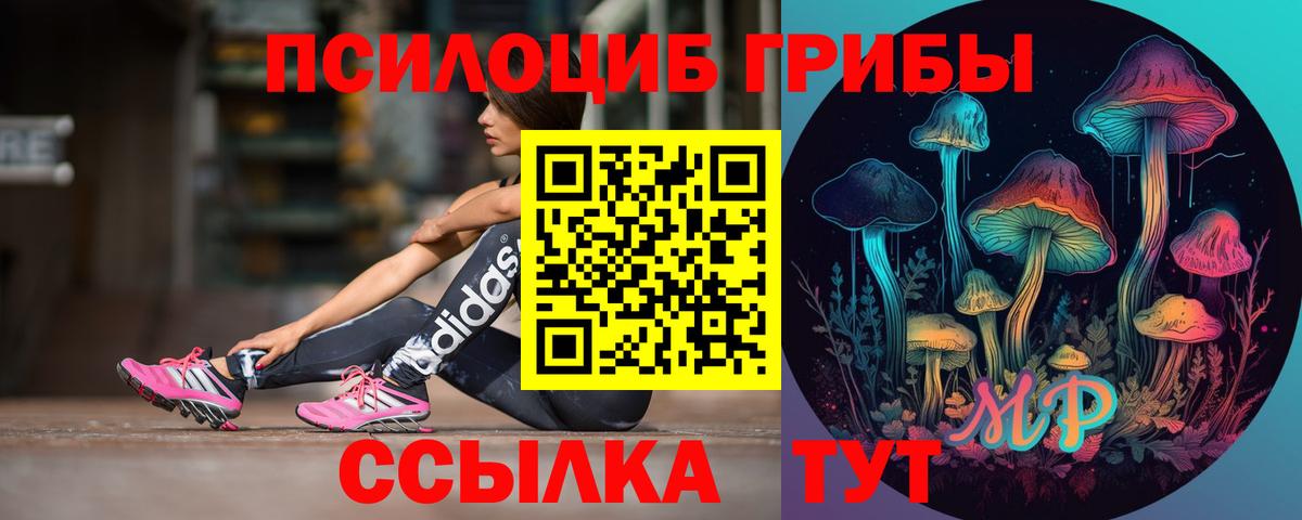 Псилоцибиновые грибы Psilocybe Чернушка